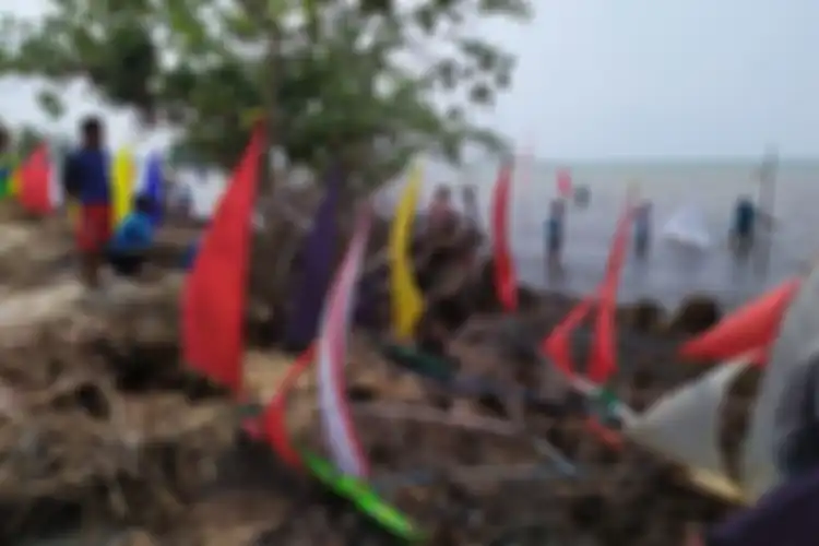 Perahu Jong