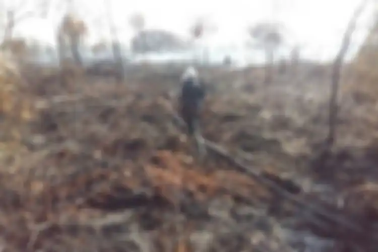 Kebakaran hutan dan lahan yang terjadi di Kecamatan Tapung, Kabupaten Kampar, Riau, pada bulan Agustus 2018 lalu.