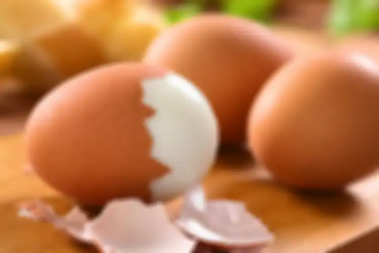 (Ilustrasi telur) 