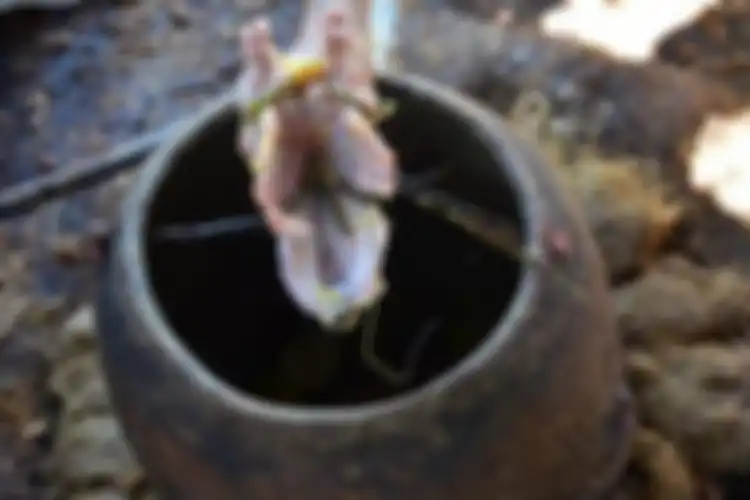 Mezcal de pechuga minuman khas Meksiko. 