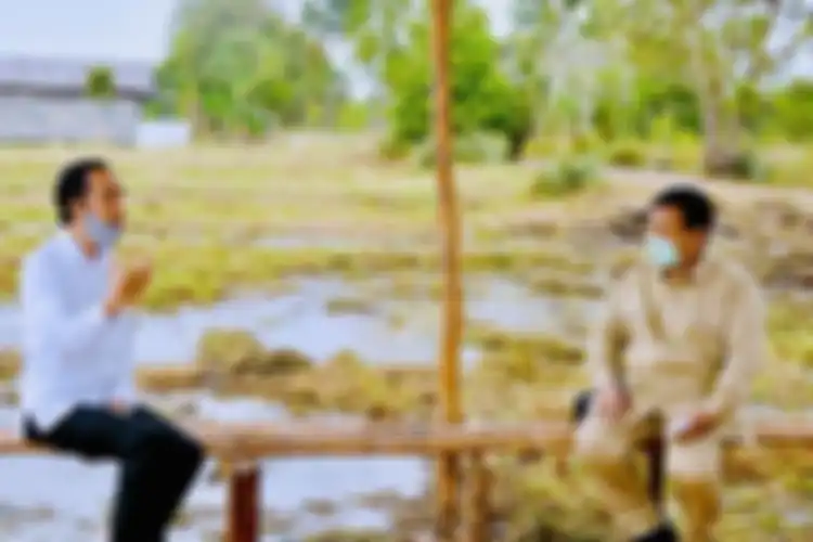 Presiden Joko Widodo meninjau lokasi pengembangan food estate atau lumbung pangan nasional dalam kunjungan kerja ke Provinsi Kalimantan Tengah, Kamis (9/7/2020). Lokasi yang pertama ditinjau untuk menjadi lumbung pangan baru di luar Pulau Jawa tersebut terletak di Desa Bentuk Jaya, Kecamatan Dadahup, Kabupaten Kapuas.