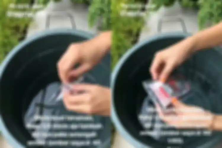 Larutan micin untuk tanaman