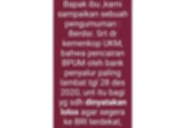 Tangkapan layar informasi tentang pencairan BLT UMKM paling lambat 28 Desember 2020.