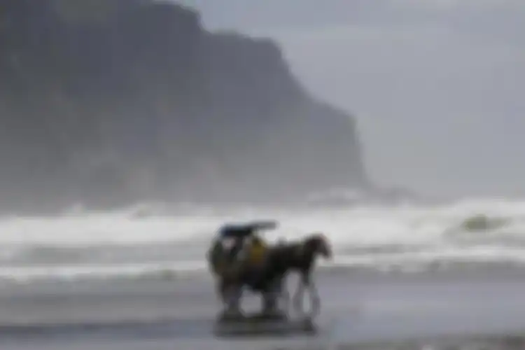 Legenda Nyi Roro Kidul, Sang Penjaga Pantai Selatan.