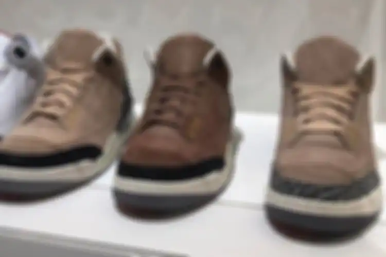 Ilustrasi sepatu berbahan suede.