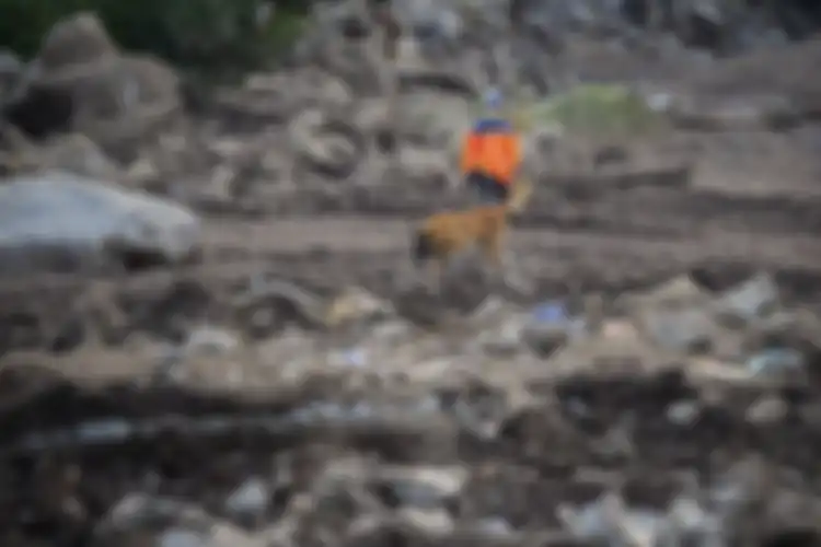 Petugas dan anjing pelacak mencari korban hilang dalam bencana tanah longsor di Desa Nelelamadike, Kecamatan Ile Boleng, Kabupaten Flores Timur, Nusa Tenggara Timur (NTT), Kamis (8/4/2021). Hingga hari kelima pascabencana banjir dan tanah longsor di Flores Timur, pencarian korban hilang semakin dige