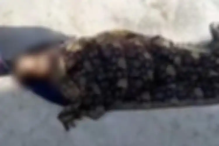 Potongan video yang menunjukkan seorang ibu ditelantarkan anaknya di jalanan setelah dinyatakan positif Covid-19