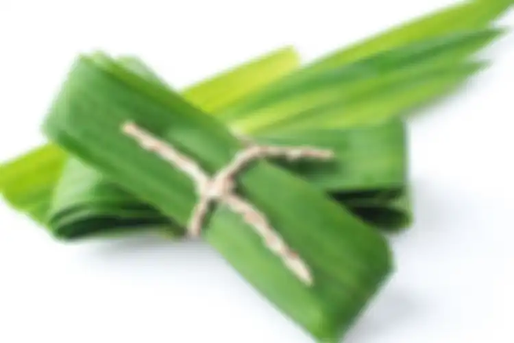 Daun pandan