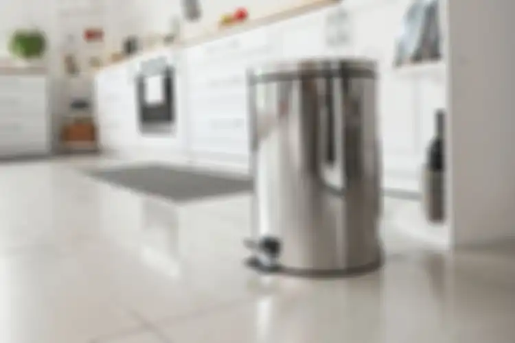 penempatan tempat sampah menurut fengshui (SHUTTERSTOCK/PIXEL-SHOT) 