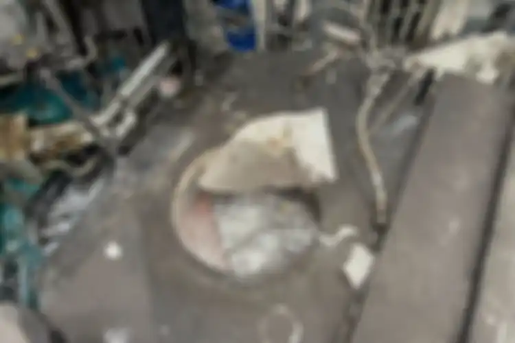 Seorang pekerja kelistrikan berusia 25 tahun jatuh ke dalam tungku berisi aluminium cair bersuhu mendidih saat dia bekerja di pabrik di St Gallen, Swiss timur laut.