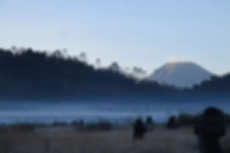 Wisatawan Menikmati Embun Es Dieng