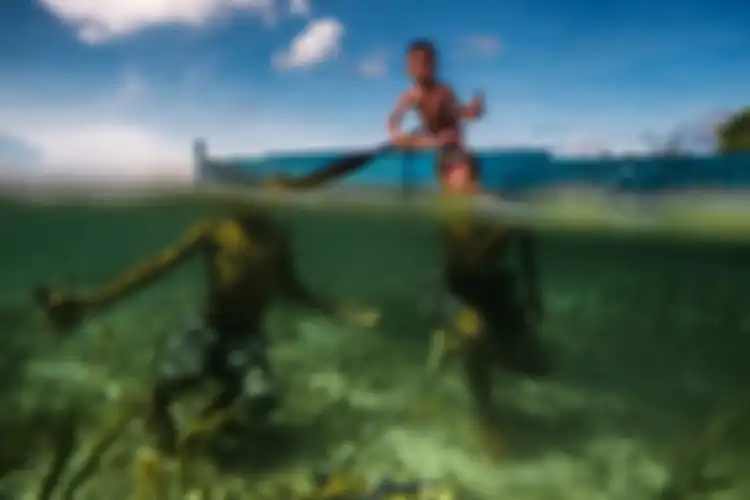 Bocah-bocah Suku Bajau