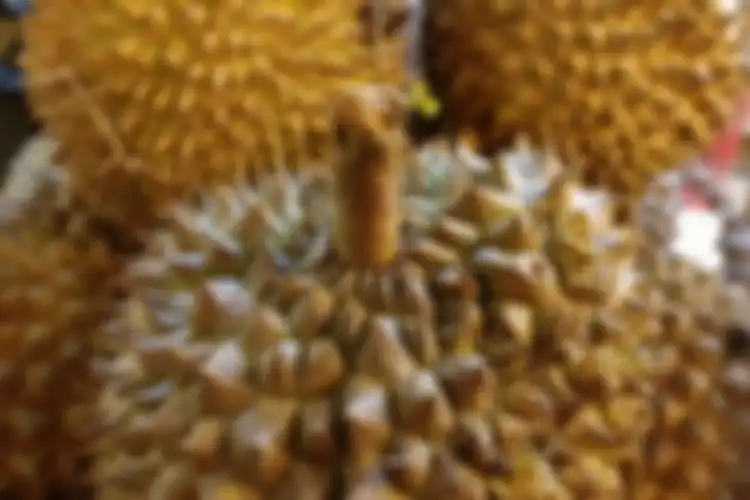 Ilustrasi durian