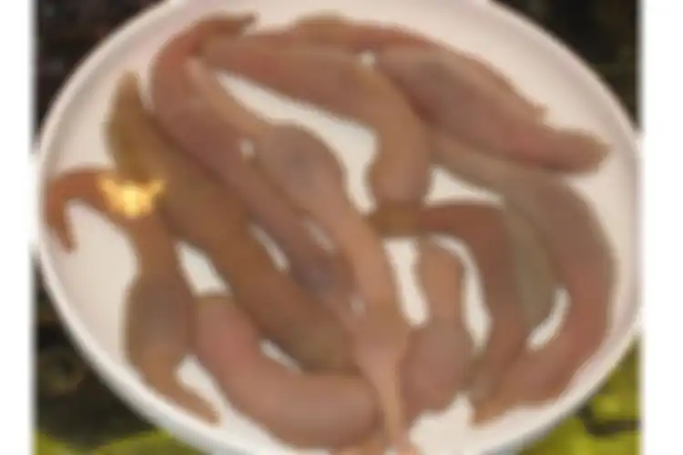 Gaebul adalah makanan asal Korea Selatan yang berasal dari dari ikan penis.