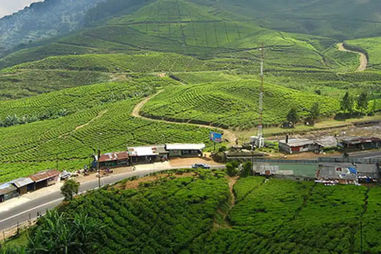 Masa Transisi PSBB, Jangan Turing Dulu Ke Kawasan Puncak Bogor, Warga Jakarta Dilarang Ke Puncak