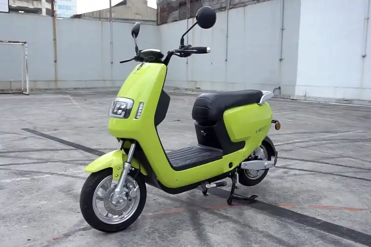 Kemenhub Minta Kendaraan Listrik Pakai Pelat Nomor Khusus dengan Warna Berbeda, Ini Alasannya