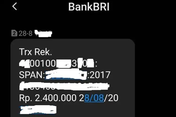Geger, Ada SMS Masuk  Saldo BRI Nambah Rp 2,4 Juta  dari Pemerintah, Padahal Gak Pernah Kasih Nomor Rekening Nih