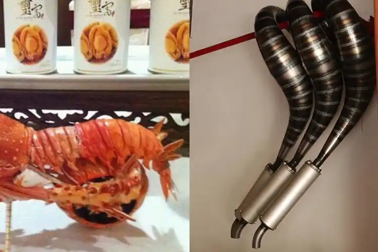Ramai Soal Lobster, Ada Motor Unik Sampai Knalpot Lobster Buat Yamaha RX-King, Segini Harganya