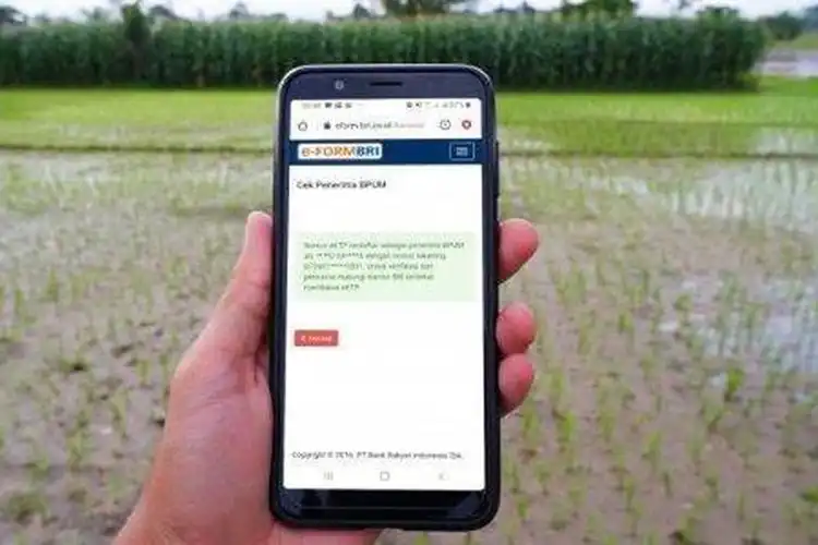 Cek BRI Online Bantuan Rp 2,4 Juta Bakal Cair Lagi, Isi Nomor KTP dari HP