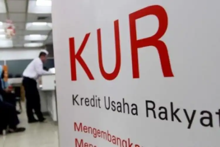 Khusus yang Belum Punya Hutang Ada Pinjaman Rp 100 Juta dari Pemerintah dibagi-bagi di Bank BRI