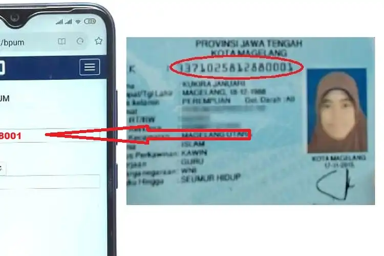 Ada Bantuan Mulai Dari Rp 900 Ribu Sampai Rp 3 Juta, Begini Cara Mengeceknya Lewat HP Sambil Siapkan KTP