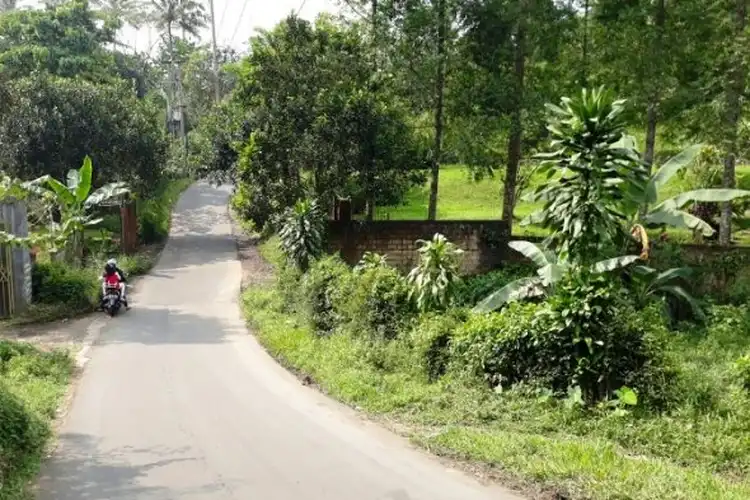 Pilihan Jalan Alternatif Menuju Puncak Bogor, Jangan Dibocorin Nih