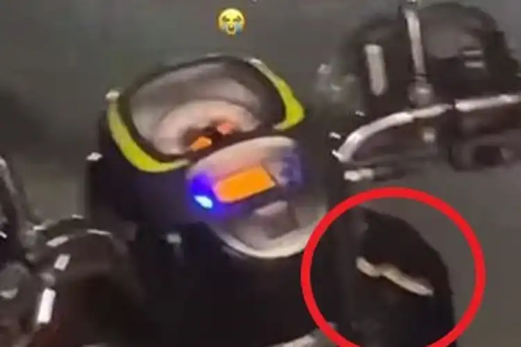 Pemotor Wanita Panik, Ada Ular Hampir Melilit Tangannya di Setang Motor Honda Scoopy 