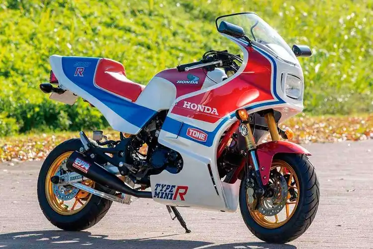 Imut Modifikasi Motor Honda MSX 125, Menjelma Jadi CB1100R Versi Mini