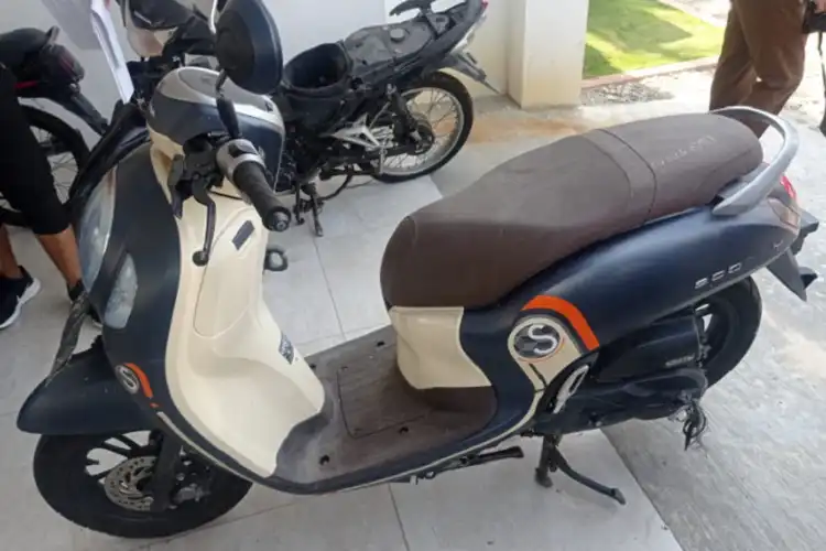 Motor Murah Honda Scoopy 2021 Kondisi Mulus Buka Harga Rp 7 Jutaan Dicek Biar Gak Nyesel