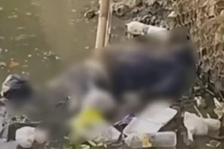 Tragis Driver Ojol Tercebur Bareng Motornya di Kali Penjaringan, Ditemukan Mengambang 