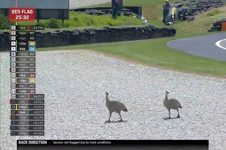 Perkara Burung Camar Nyebrang, FP2 Moto2 Australia 2023 Ditunda Hingga Red Flag Berkibar