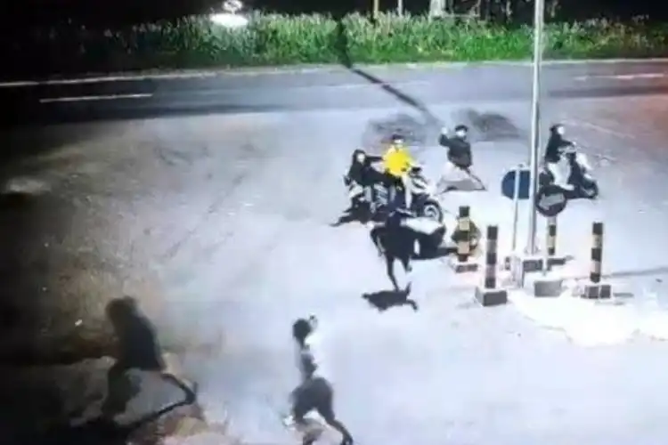 Begal Nekat Beraksi Dekat Kantor Polisi di Mojokerto, Honda Scoopy Korban Lenyap
