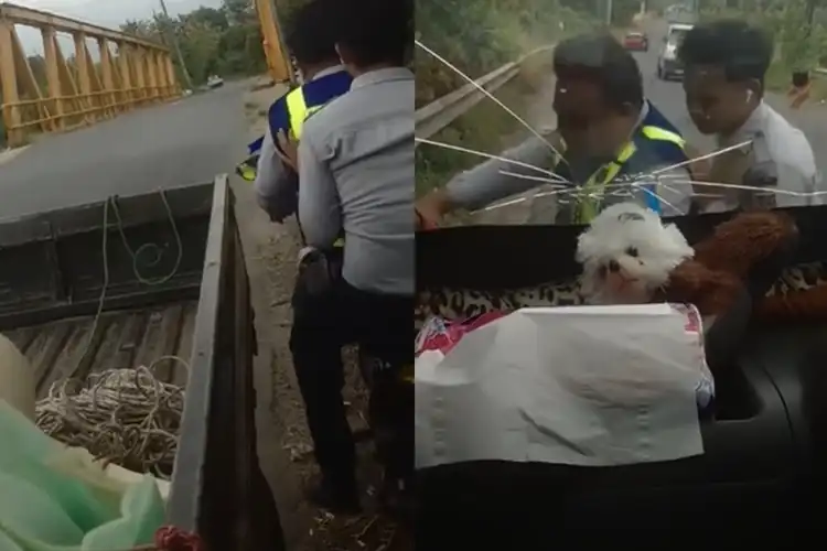 Viral Video Oknum Dishub Diduga Palak Sampai Lakukan Kekeasan Terhadap Sopir Mobil Pikap di Lampung