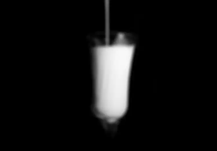 Campur Susu dengan Madu Ternyata Dapat Timbulkan 7 Hal Ini Bagi Tubuh, Lho!