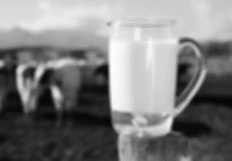Susu Segar adalah Jenis Susu Terbaik untuk Dikonsumsi, Ini Alasannya