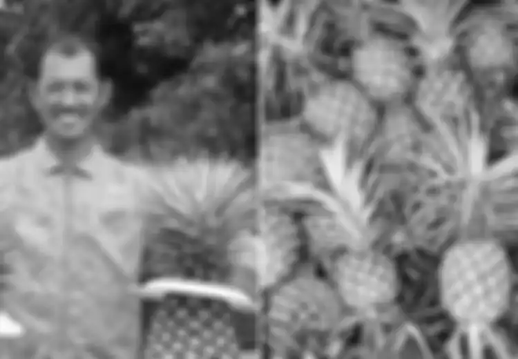 Sukses Jadi Auditor Keuangan, Pria Malaysia Ini Malah Pilih Hidup Sebagai Petani, tapi Lihat Penghasilannya Kini!