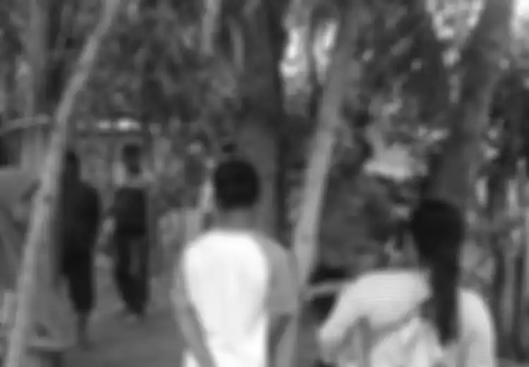 'Kayak Suara Perempuan Nangis,' Warga Berbondong-bondong Antre Tempelkan Telinga ke Pohon 'Menangis' Setinggi 20 Meter di Jember, Ladang Pak Aziz Mendadak Ramai