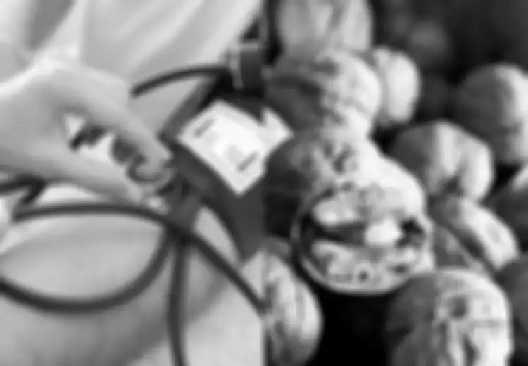 Tekanan Darah Anda Cukup Tinggi? Ini 5 Makanan yang Bantu  Turunkan Tekanan Darah, Termasuk Kacang Kenari