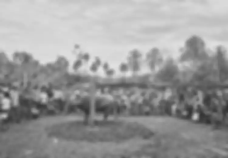 Tradisi Unik Ramadhan di Berbagai Daerah, Salah Satunya Bebantai di Jambi yang Haruskan Bantai Kerbau Sampai Puluhan Jumlahnya, Inilah Fungsinya Secara Perekonomian