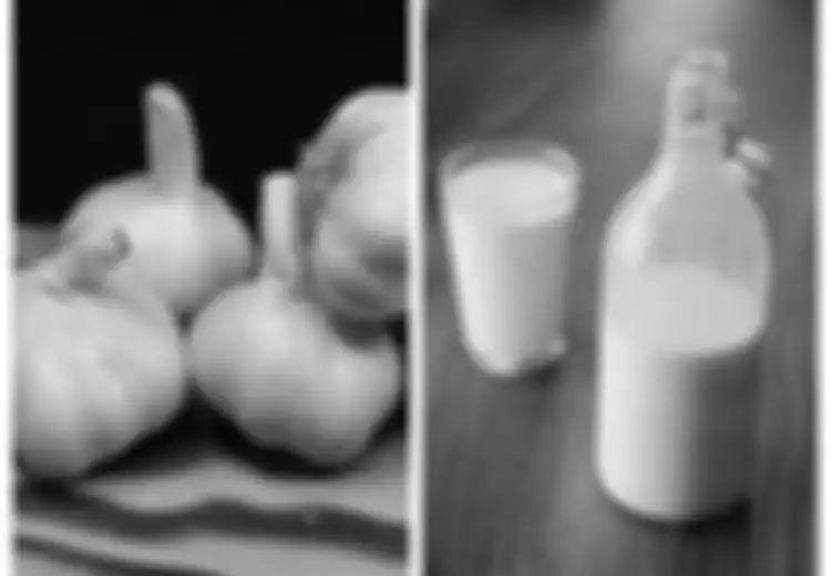 Nanti Malam Harus Coba, Minum Campuran Susu dan Bawang Putih Setelah Makan Malam, Ini yang Akan Terjadi pada Tubuh