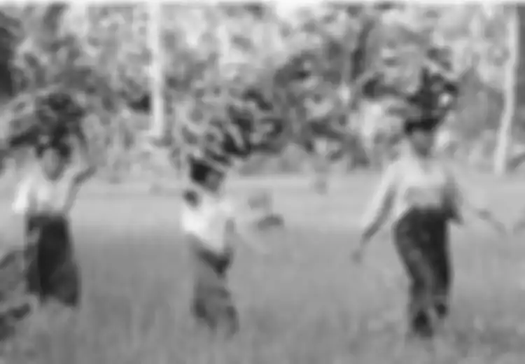 Analisis Kondisi Sinkronik Sebelum dan Sesudah 1950 Terhadap Perempuan