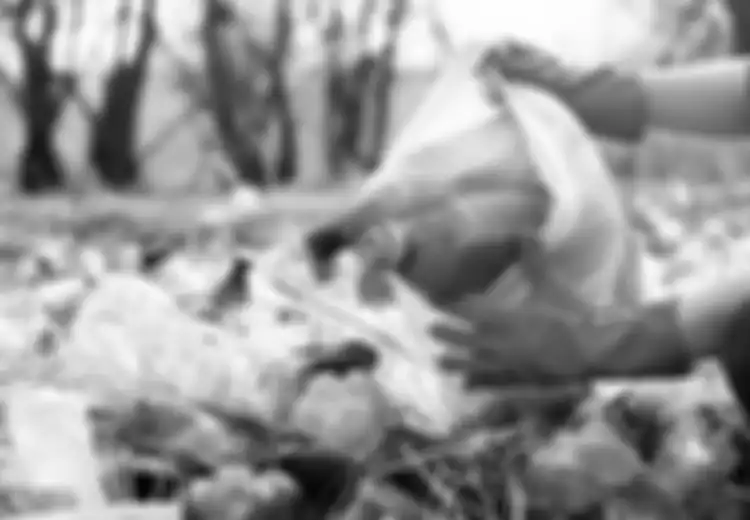 Cara Mencegah dan Mengatasi Maraknya Perilaku Membuang Sampah Sembarang di Lingkungan Sekolah dan Masyarakat