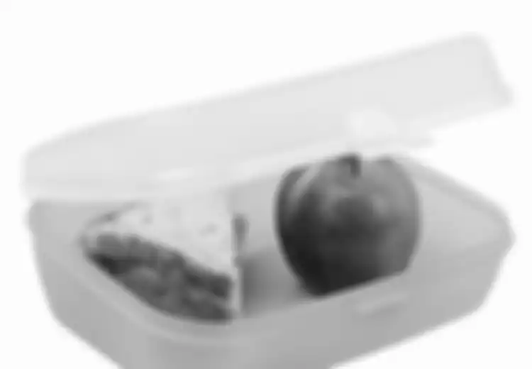 Alasan Sehat Membawa Bekal