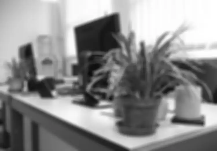 Wahai Para Bos, Tanaman Hijau di Kantor Meningkatkan Produktivitas Karyawan