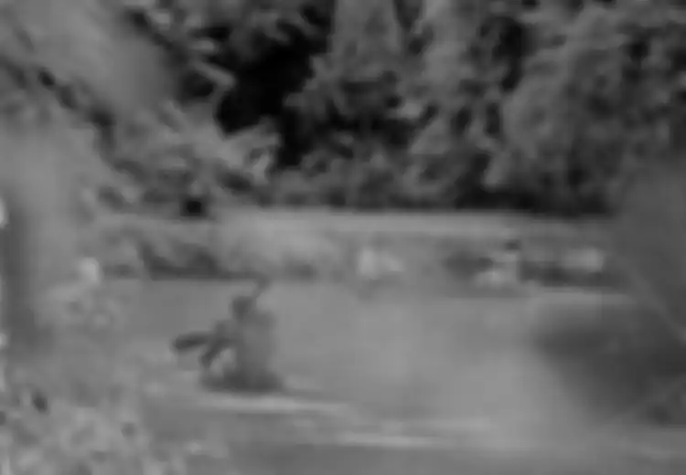 Majalah Kecil Yang Menerobos Dinding Waktu (1973-1983)