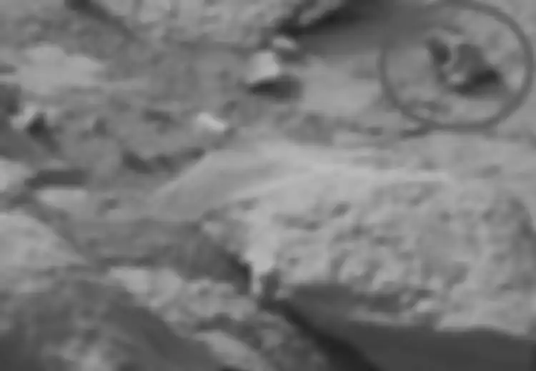 Iguana Nongol di Mars?