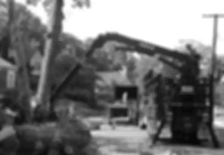 Cabut Kebiasaan Buruk Selagi Belum Kuat Berakar