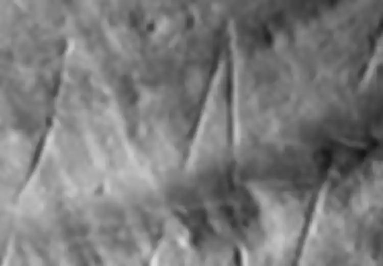 Wow, Gambar Kuno Tertua di Dunia Berasal dari Ngawi