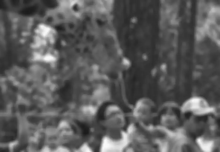 Lorong Masa: Krisis Moniter 1998, Satwa pun Rasakan Imbasnya
