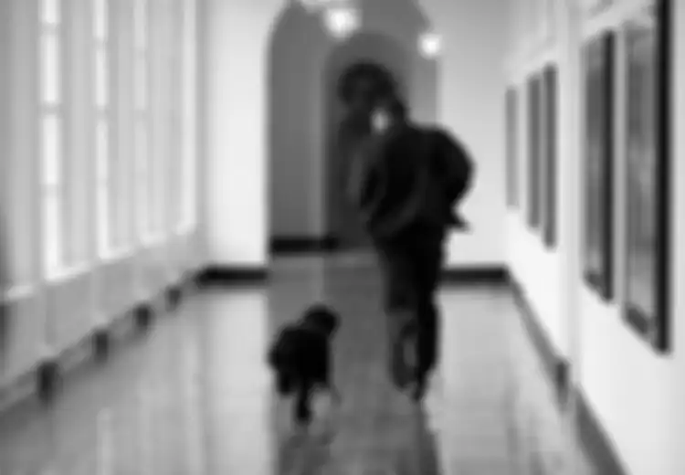 Sejak 130 Tahun yang Lalu, Hampir Semua Presiden AS Memelihara Anjing ... kecuali Donald Trump